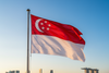 Singapore flag